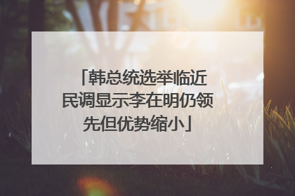韩总统选举临近 民调显示李在明仍领先但优势缩小