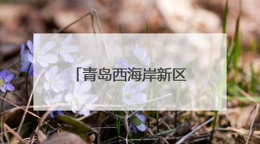 青岛西海岸新区疾控中心举办爱上西海岸健康人生行第六场活动