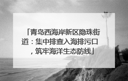 青岛西海岸新区隐珠街道：集中排查入海排污口，筑牢海洋生态防线