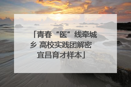 青春“医”线牵城乡 高校实践团解密宜昌育才样本