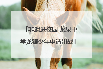 非遗进校园 龙泉中学龙狮少年申请出战