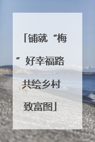 铺就“梅”好幸福路 共绘乡村致富图