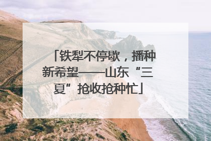 铁犁不停歇，播种新希望——山东“三夏”抢收抢种忙
