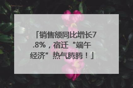 销售额同比增长7.8%，宿迁“端午经济”热气腾腾！