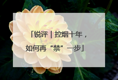 锐评｜控烟十年，如何再“禁”一步
