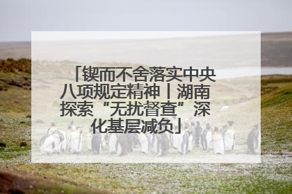 锲而不舍落实中央八项规定精神丨湖南探索“无扰督查”深化基层减负