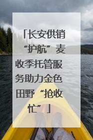 长安供销“护航”麦收季托管服务助力金色田野“抢收忙”