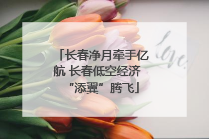 长春净月牵手亿航 长春低空经济“添翼”腾飞