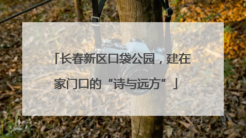 长春新区口袋公园，建在家门口的“诗与远方”