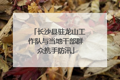 长沙县驻龙山工作队与当地干部群众携手防汛