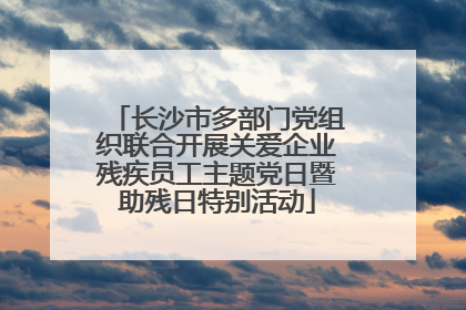 长沙市多部门党组织联合开展关爱企业残疾员工主题党日暨助残日特别活动