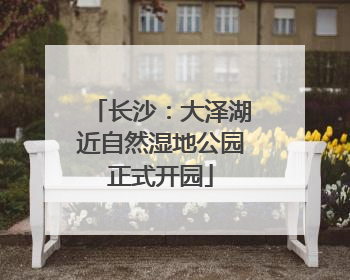 长沙：大泽湖近自然湿地公园正式开园