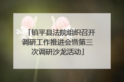 镇平县法院组织召开调研工作推进会暨第三次调研沙龙活动