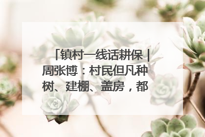 镇村一线话耕保｜周张博：村民但凡种树、建棚、盖房，都要向街道报批