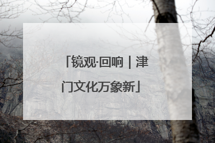 镜观·回响｜津门文化万象新