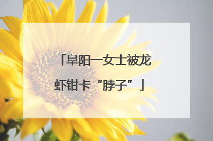 阜阳一女士被龙虾钳卡“脖子”