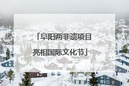 阜阳两非遗项目亮相国际文化节