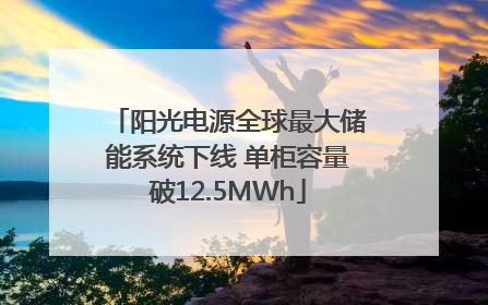 阳光电源全球最大储能系统下线 单柜容量破12.5MWh