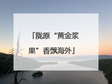 陇原“黄金浆果”香飘海外