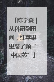 陈学森｜从科研到田间，红苹果里装了颗“中国芯”