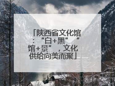陕西省文化馆：“白+黑”“馆+景”，文化供给向美而聚