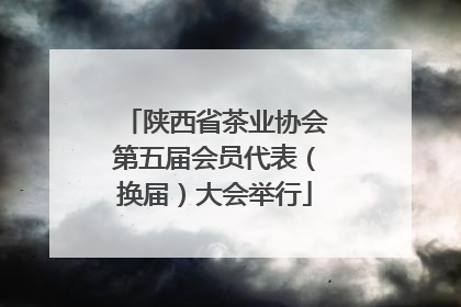 陕西省茶业协会第五届会员代表（换届）大会举行