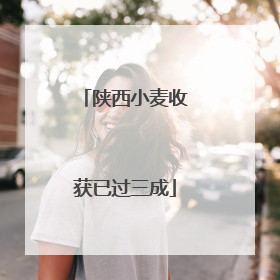 陕西小麦收获已过三成