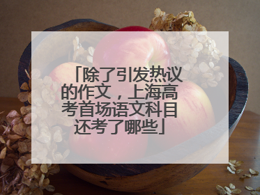 除了引发热议的作文，上海高考首场语文科目还考了哪些