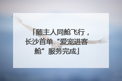 随主人同舱飞行，长沙首单“爱宠进客舱”服务完成