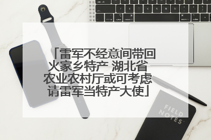 雷军不经意间带回火家乡特产 湖北省农业农村厅或可考虑请雷军当特产大使