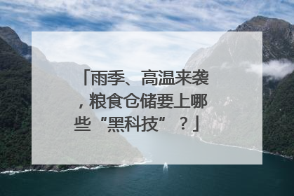雨季、高温来袭，粮食仓储要上哪些“黑科技”？