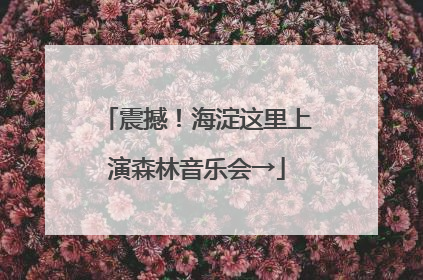 震撼！海淀这里上演森林音乐会→