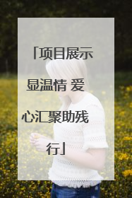 项目展示显温情 爱心汇聚助残行