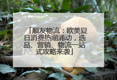 顺友物流：欧美夏日消费热潮涌动，选品、营销、物流一站式攻略来袭