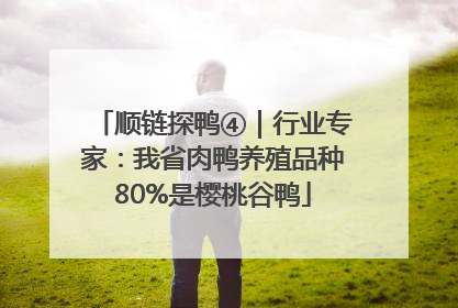 顺链探鸭④｜行业专家：我省肉鸭养殖品种80%是樱桃谷鸭