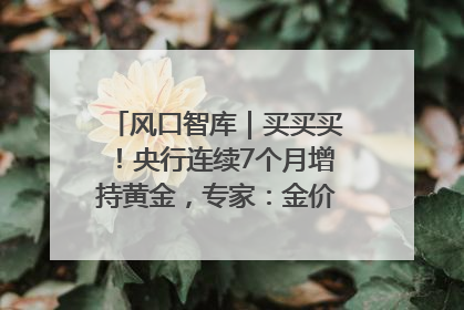 风口智库｜买买买！央行连续7个月增持黄金，专家：金价或仍易涨难跌