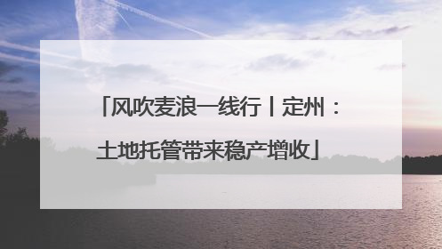 风吹麦浪一线行丨定州：土地托管带来稳产增收