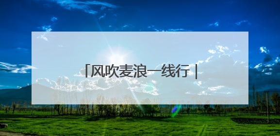 风吹麦浪一线行｜廊坊“三夏”大规模小麦机收全面开始