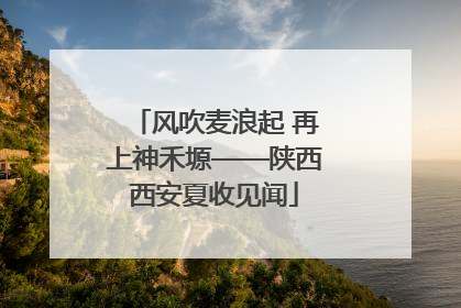 风吹麦浪起 再上神禾塬——陕西西安夏收见闻