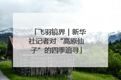 飞羽镜界｜新华社记者对“高原仙子”的四季追寻