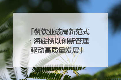 餐饮业破局新范式：海底捞以创新管理驱动高质量发展
