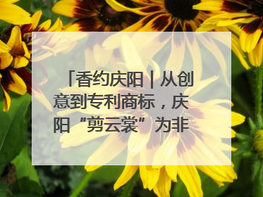 香约庆阳｜从创意到专利商标，庆阳“剪云裳”为非遗市场化探路