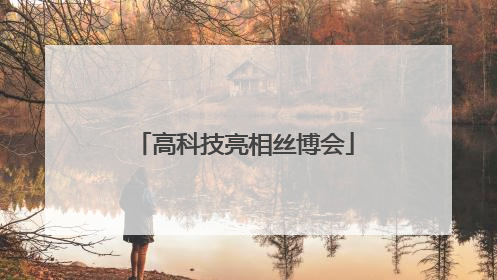 高科技亮相丝博会