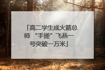 高二学生成火箭总师 “手搓”飞燕一号突破一万米