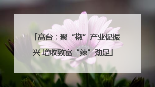 高台：聚“椒”产业促振兴 增收致富“辣”劲足