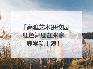 高雅艺术进校园 红色舞剧在张家界学院上演