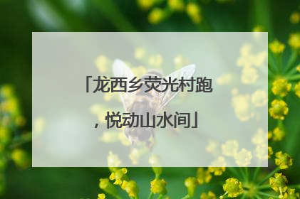 龙西乡荧光村跑，悦动山水间