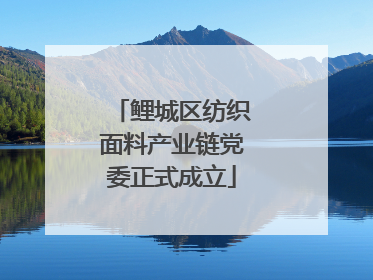 鲤城区纺织面料产业链党委正式成立