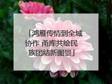 鸿雁传情到全域协作 甬库共绘民族团结新图景