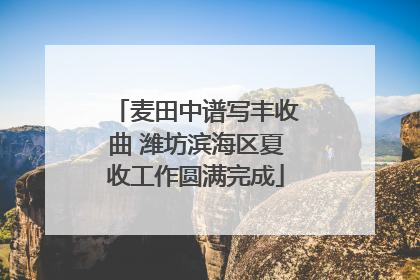 麦田中谱写丰收曲 潍坊滨海区夏收工作圆满完成